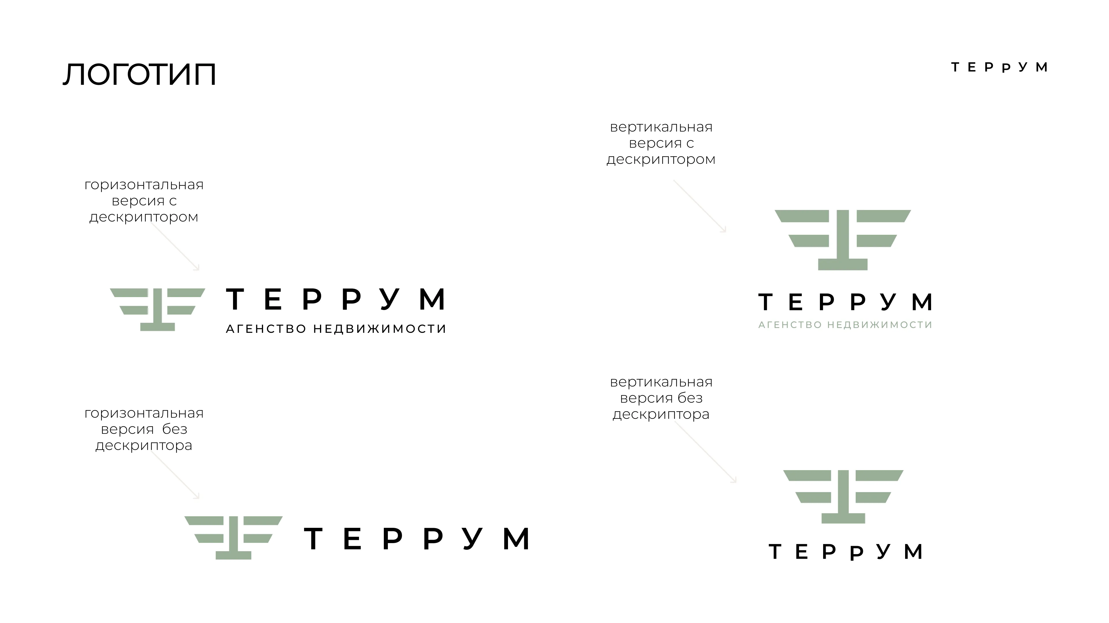 Версии логотипа Террум